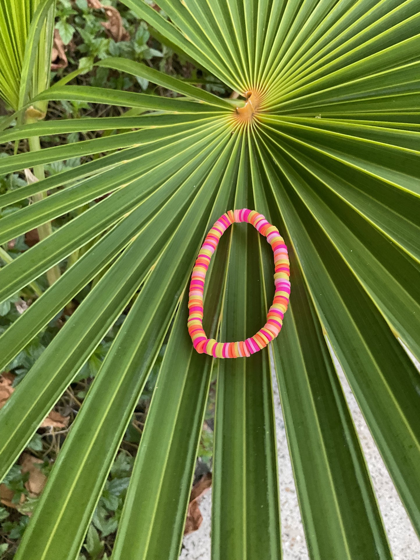 Bird of Paradise (large)