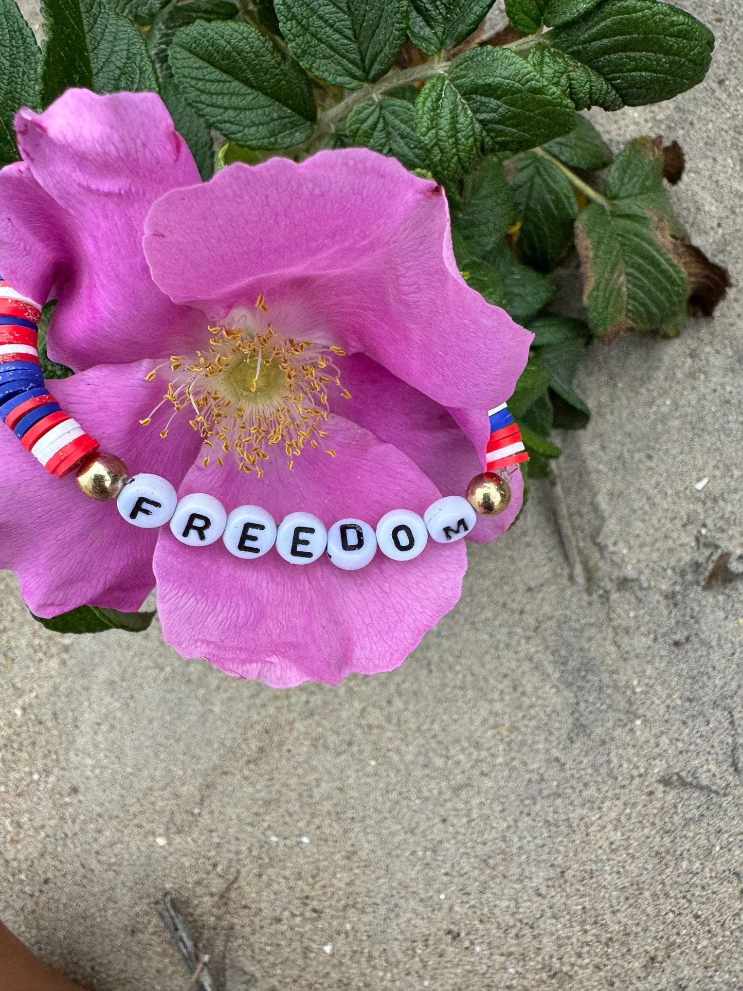 Freedom (small)