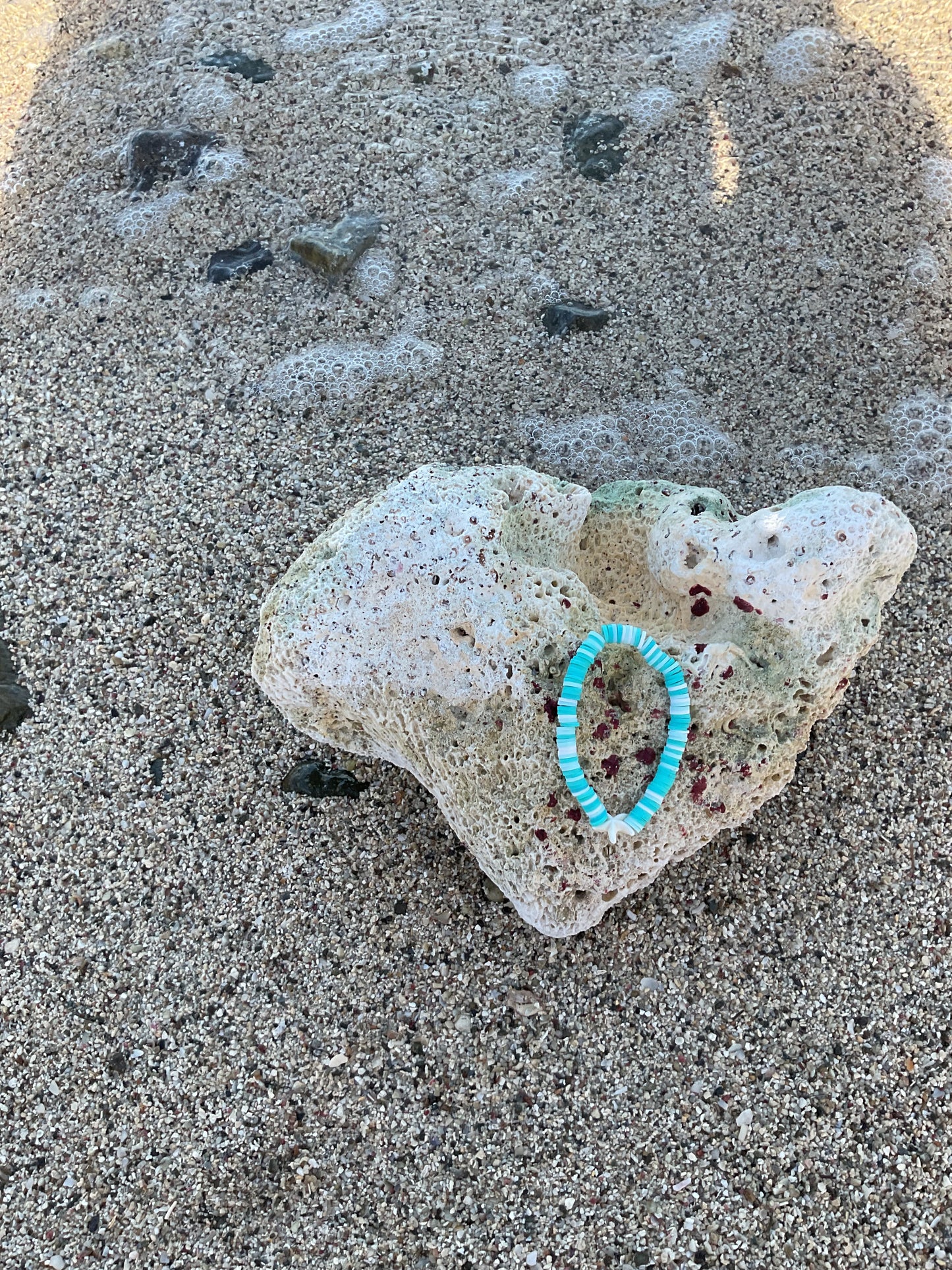 Sea Star (medium)