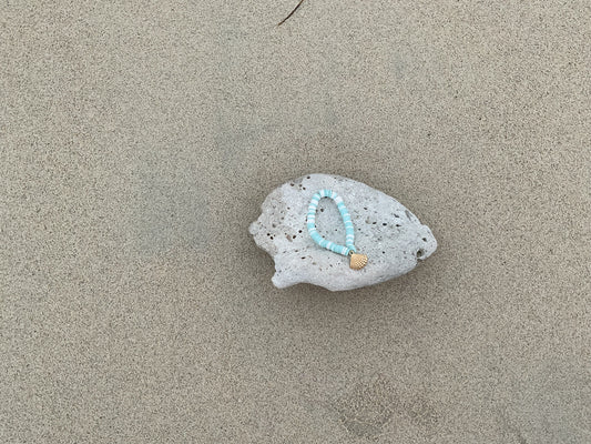 Aqua Shell (small)