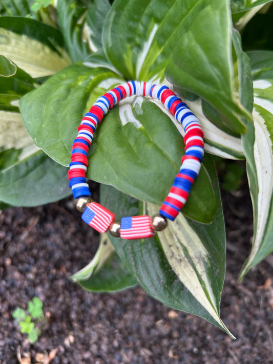 USA Flags (large)