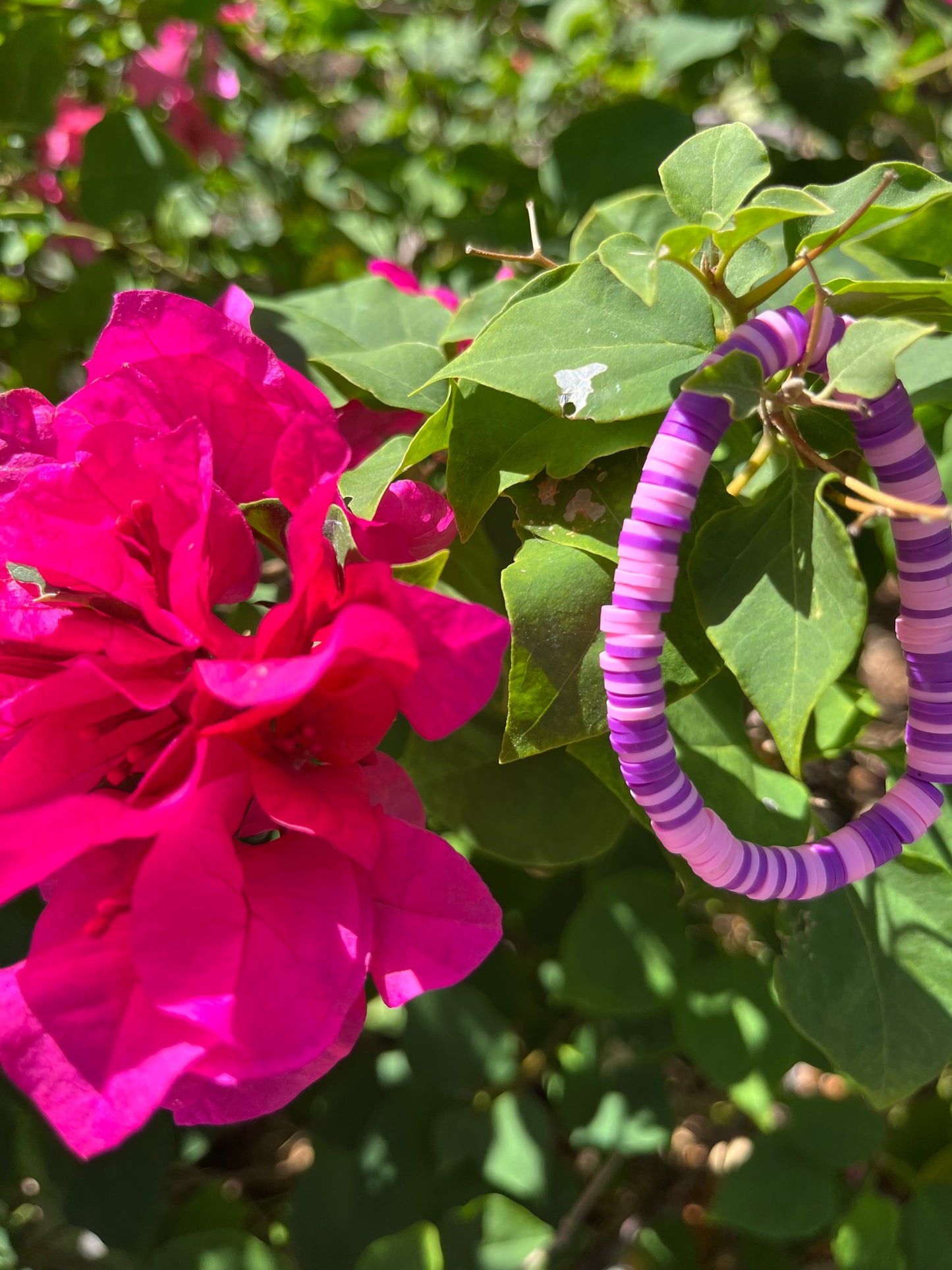 Tropical Pink (Medium)